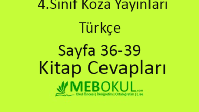  fotoğrafı