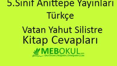  fotoğrafı