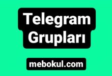  fotoğrafı