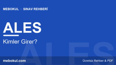 ALES’e Kimler Girer? Kullanım Alanları fotoğrafı