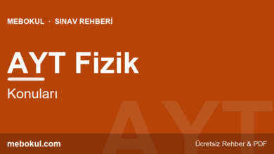 AYT Fizik Konuları ve Çalışma Rehberi fotoğrafı