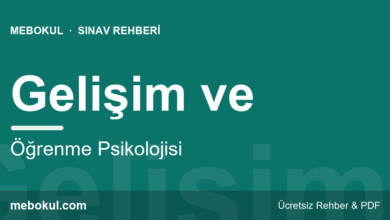 Eğitim Bilimleri: Gelişim ve Öğrenme Psikolojisi fotoğrafı