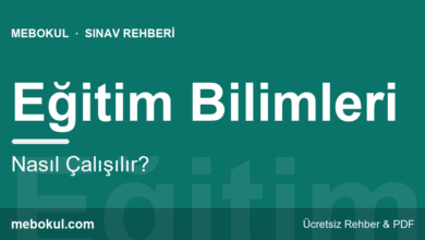 Eğitim Bilimleri Nasıl Çalışılır? fotoğrafı