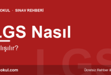 LGS Nasıl Çalışılır? Yeni Nesil Soru Stratejisi fotoğrafı