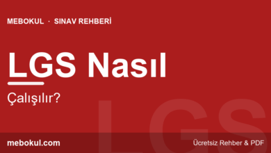 LGS Nasıl Çalışılır? Yeni Nesil Soru Stratejisi fotoğrafı