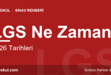 LGS Ne Zaman? 2026 Tarih ve Sonuç fotoğrafı