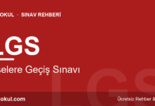 LGS Nedir? Konu Dağılımı, Puan ve Yerleştirme fotoğrafı