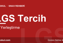LGS Tercih ve Yerleştirme Nasıl Yapılır? fotoğrafı