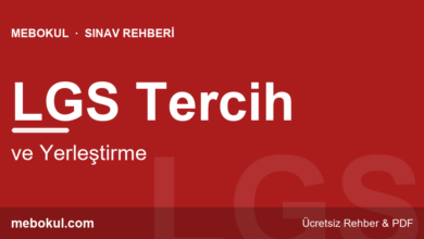 LGS Tercih ve Yerleştirme Nasıl Yapılır? fotoğrafı