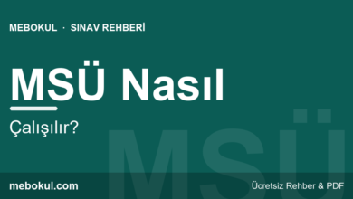 MSÜ Nasıl Çalışılır? TYT Temelli Hazırlık fotoğrafı