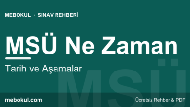 MSÜ Ne Zaman? 2026 Tarih ve Aşamalar fotoğrafı