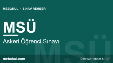 MSÜ Nedir? Aşamalar, Kimler Girer, Kaç Soru? fotoğrafı