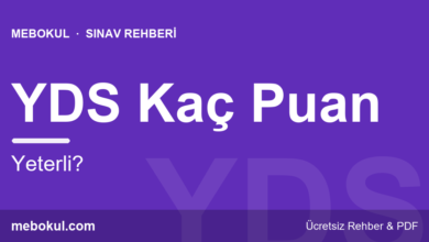 YDS’de Kaç Puan Yeterli? Kullanım Alanları fotoğrafı