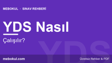 YDS Nasıl Çalışılır? Kelime ve Okuma Stratejisi fotoğrafı