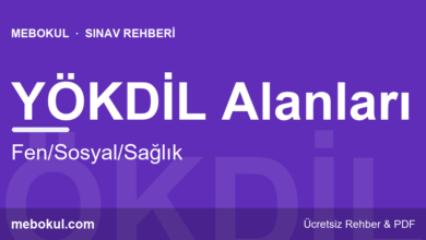 YÖKDİL Alanları: Fen, Sosyal, Sağlık fotoğrafı