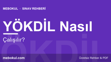 YÖKDİL Nasıl Çalışılır? Alan Kelime Stratejisi fotoğrafı