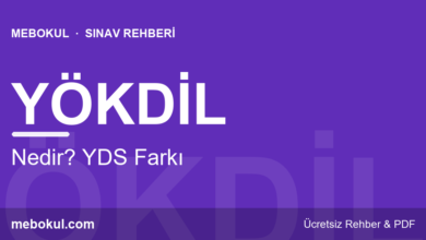 YÖKDİL Nedir? YDS Farkı, Puan ve Alanlar fotoğrafı